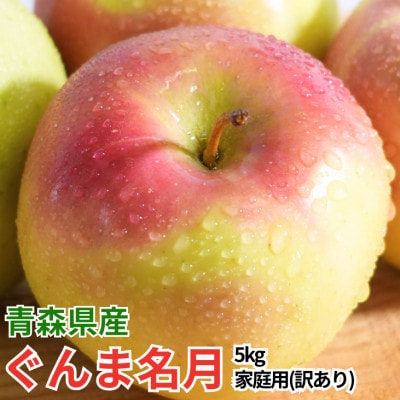 【27年4月より順次発送】平均糖度13度以上! ぐんま名月 約5kg 訳あり  クール便【配送不可地域：離島・沖縄県】【1610325】