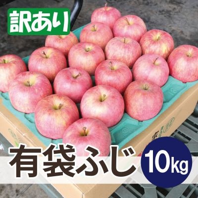 【26年5月出荷予定】平均糖度13度以上! 有袋ふじ 約10kg 訳あり CA貯蔵 クール便【配送不可地域：離島・沖縄県】【1613258】
