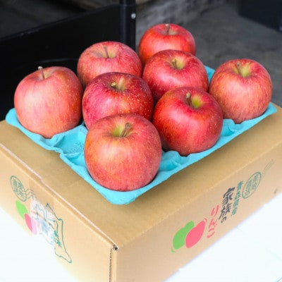 【2025年12月発送予定】糖度13度以上保証!サンふじおもてなし用約3kg(6〜18玉)【配送不可地域：離島・沖縄県】【1682755】