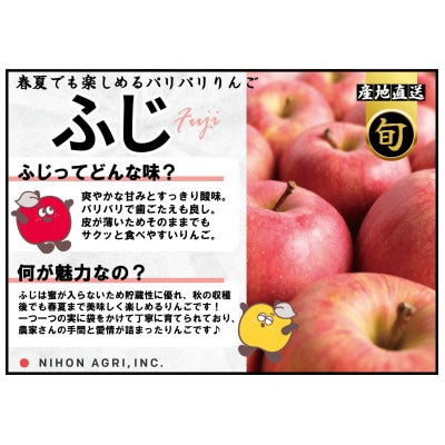平均糖度13度以上! 有袋ふじ 約5kg 訳あり CA貯蔵 クール便【配送不可地域：離島・沖縄県】【1613264】