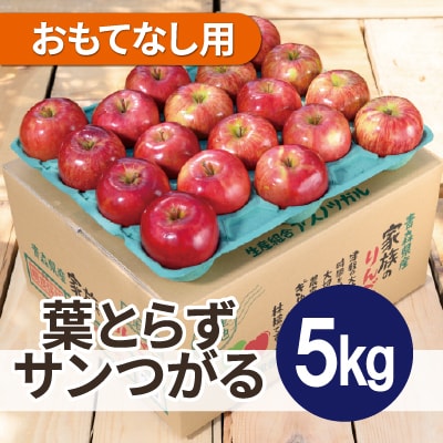 【25年9月より順次発送】平均糖度12度以上! 葉とらずサンつがる約5kg おもてなし用  クール便【配送不可地域：離島・沖縄県】【1611768】