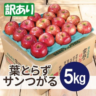 【25年10月より順次発送】平均糖度12度以上! 葉とらずサンつがる 約5kg 訳あり【配送不可地域：沖縄県】【1611760】