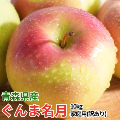 【27年4月より順次発送】平均糖度13度以上! ぐんま名月 約10kg 訳あり  クール便 青森県産【配送不可地域：離島・沖縄県】【1610323】