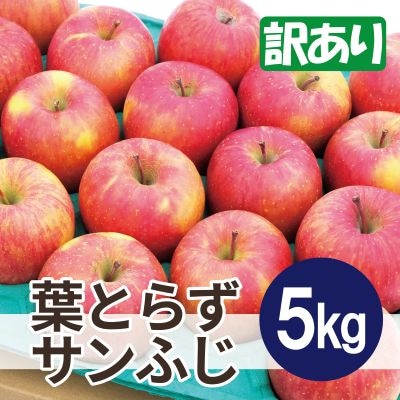 【25年12月より順次発送】平均糖度13度以上! 葉とらずサンふじ 約5kg 訳あり【配送不可地域：沖縄県】【1611288】