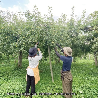 髱呈」ョ逵碁サ堤浹蟶ゆク雁香蟾晉肇繧オ繝ウ縺オ縺100%菴ソ逕ィ縲辟。豺サ蜉縲縺縺。縺九i縺、縺上▲縺溘j繧薙#繧ク繝・繝シ繧ケ縲1Lテ6譛ャ繧サ繝繝医1649811縲