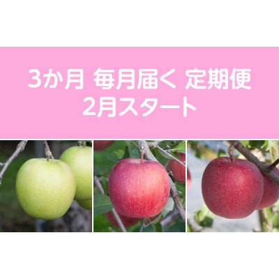 【発送月固定定期便】〈2026年2月より順次発送〉甘味系・青森りんご約3kg全3回【配送不可地域：離島・沖縄県】【4068097】