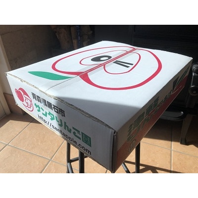 サンふじ&ぐんま名月【贈答用】約5キロ　農家直送　青森県産りんご【1568469】