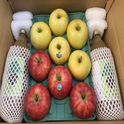 りんご2品種約3kgとりんごジュース1リットル瓶×2本の詰合せ!よくばりセット　贈答用【1342702】