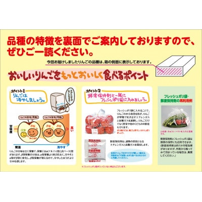 【令和8年産・先行予約】青森県産 8種のりんご 味ぞろえ　鮮度保持剤・保存用ポリ袋付【配送不可地域：離島・沖縄県】【1508206】