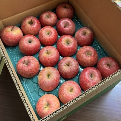 【青森の誇り】青森直送サンふじりんご約3kg(家庭用/訳あり)【1729070】