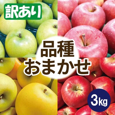 【26年2月出荷予定】りんご 品種おまかせ 約3kg 訳あり【配送不可地域：沖縄県】【1613248】