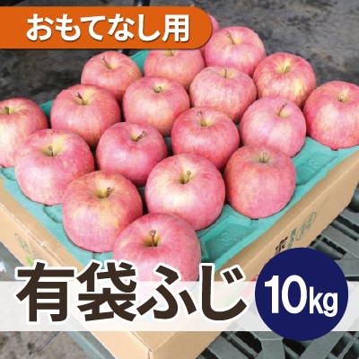 【26年6月出荷予定】平均糖度13度以上! 有袋ふじ 約10kg おもてなし用 CA貯蔵 クール便【配送不可地域：離島・沖縄県】【1613252】