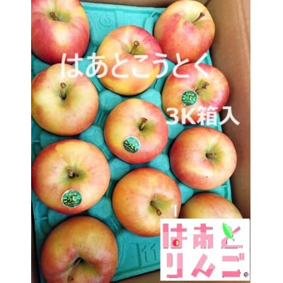 青森県産りんご　「はあと」こうとく 3K箱【1539474】