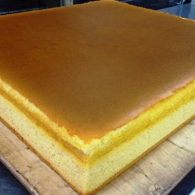 å ã®ãããŠã2æ¬å
¥ãé
éäžå¯å°åïŒé¢å³¶ãã1035081ã