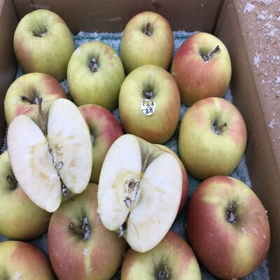 逕倥¥縺ヲ繧キ繝」繧ュ繧キ繝」繧ュ!縲髱呈」ョ逵檎肇繧翫s縺斐縺舌s縺セ蜷肴怦縲雍育ュ皮畑縲邏5kg縲陷懷・繧翫b!縲1342668縲