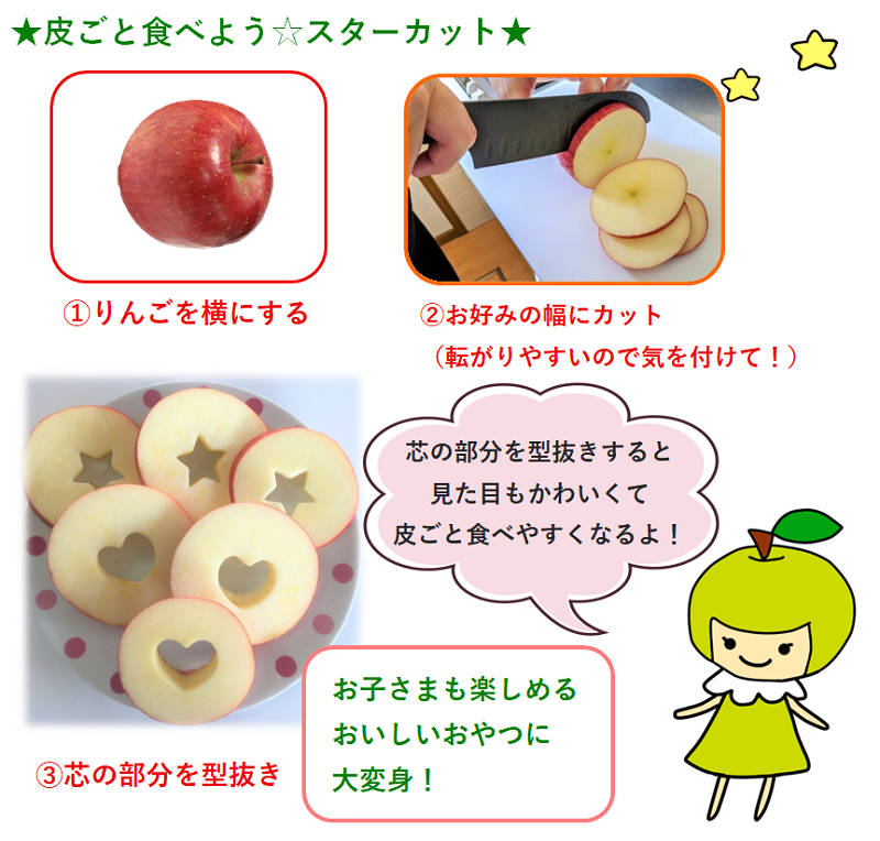 りんご 【2026年4月中旬発送】 訳あり 約10kg 春の サンふじ 王林 スマートフレッシュTM貯蔵