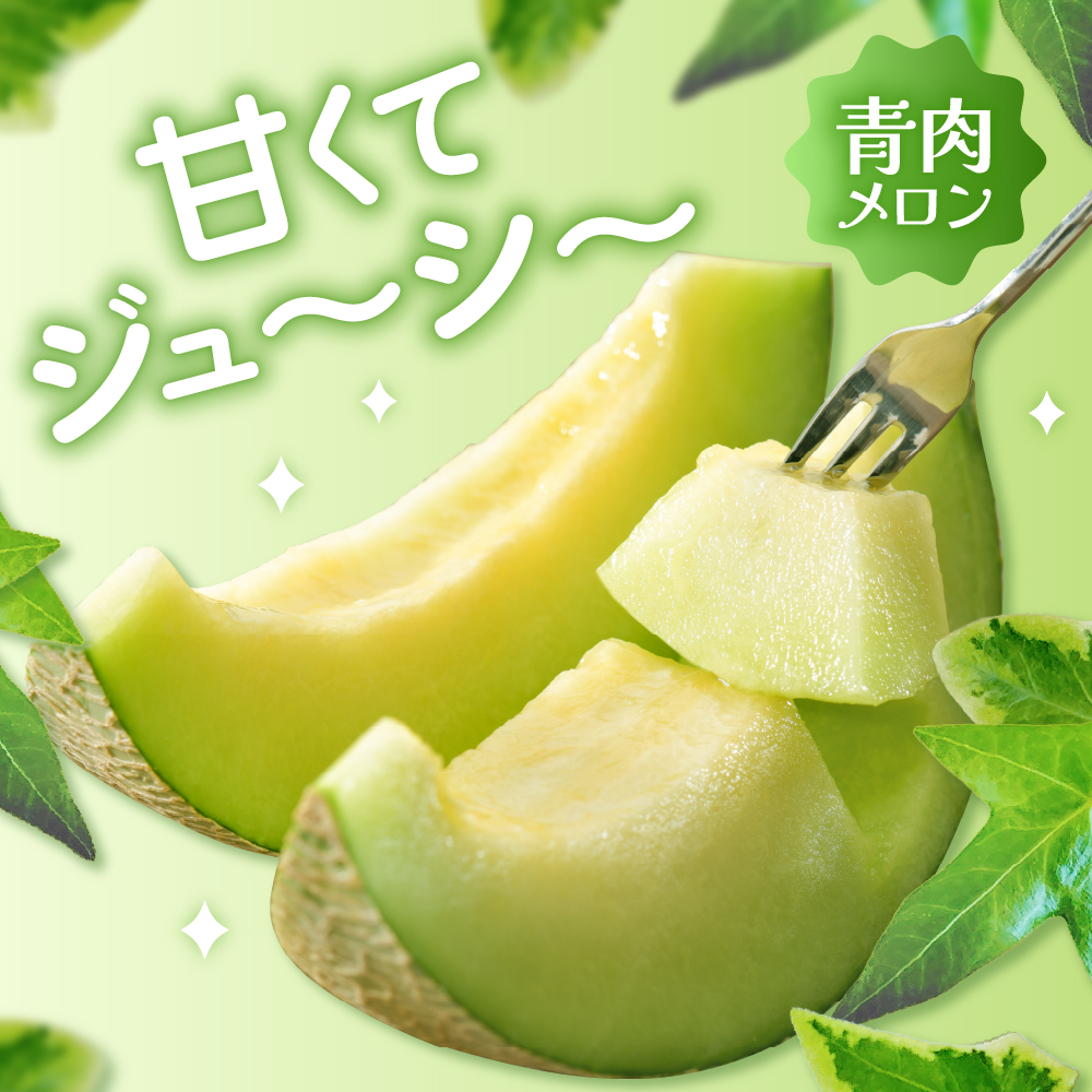 【2026年8月中旬発送】メロン 青肉 約5kg (3～6玉) 家庭用 津軽産