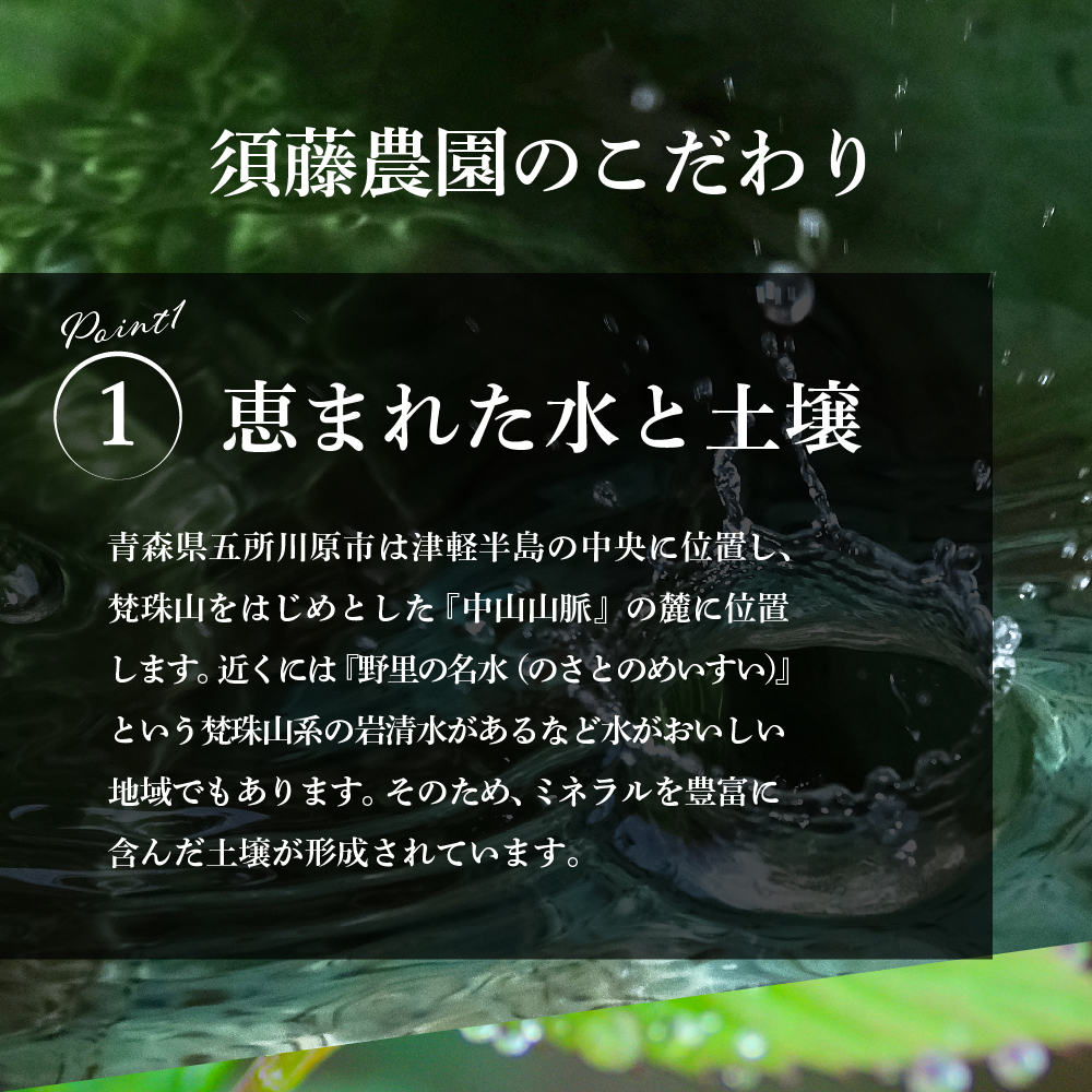 縲2026蟷エ12譛井クュ譌ャ逋コ騾√代占ィウ縺ゅj縲代j繧薙# 髱呈」ョ逕」 邏5kg 繧オ繝ウ縺オ縺