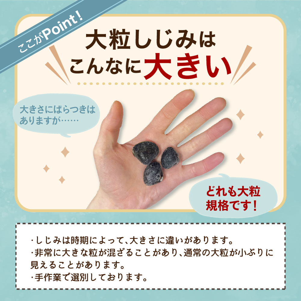 接軜åäžæ¹ç£ 倧ç²ããã¿ 2.5kg ïŒå·åã»ç æãæžïŒ 鿣®ç äºæå·ååž