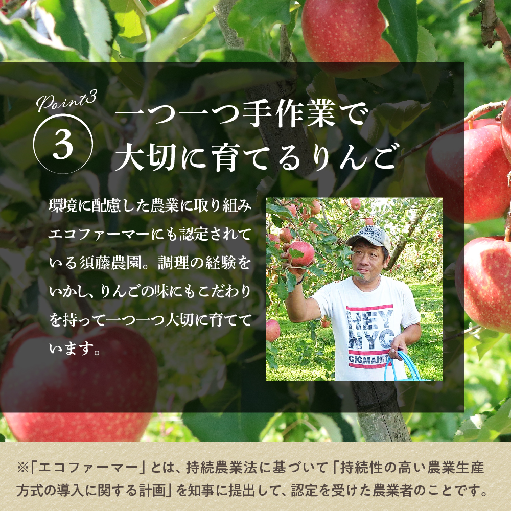 縲2026蟷エ12譛井ク区流逋コ騾√代占ィウ縺ゅj縲代j繧薙# 髱呈」ョ逕」 邏5kg 繧オ繝ウ縺オ縺