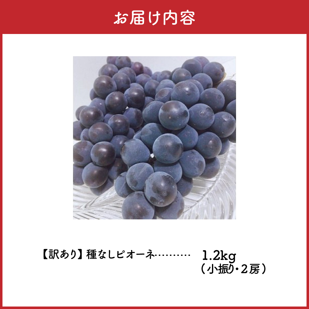 【2026年10月下旬発送】 【訳あり】ぶどう ピオーネ 種なし 1.2kg程度 （小振り・2房）