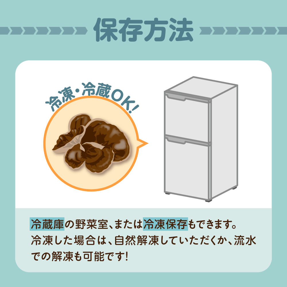 夫婦で育てた キクラゲ 生 1kg ( 500g ×2袋) 国産 【 きくらげ 生きくらげ 木耳】 クール便 五所川原　青森