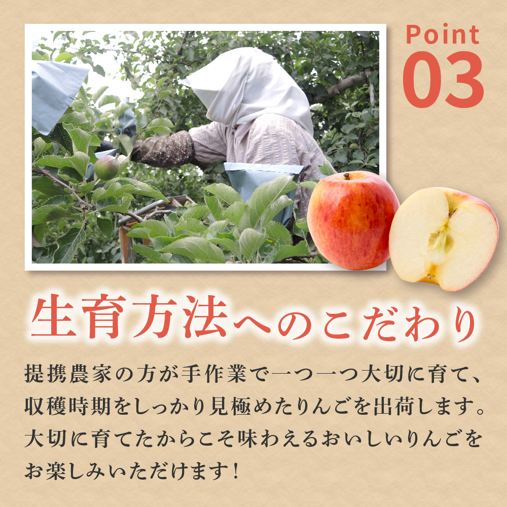 【2026年3月前半発送】【訳あり】 りんご 約10kg サンふじ 葉とらず 青森産