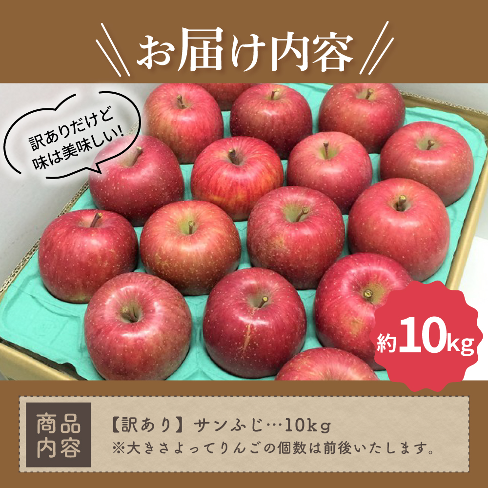 【2026年2月下旬発送】 サンふじ 青森 訳あり りんご 10kg 程度 五所川原 不揃い