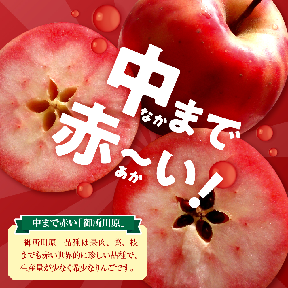 りんごジュース 中まで赤〜いりんごジュース 1L×2本 瓶 五所川原市 青森県