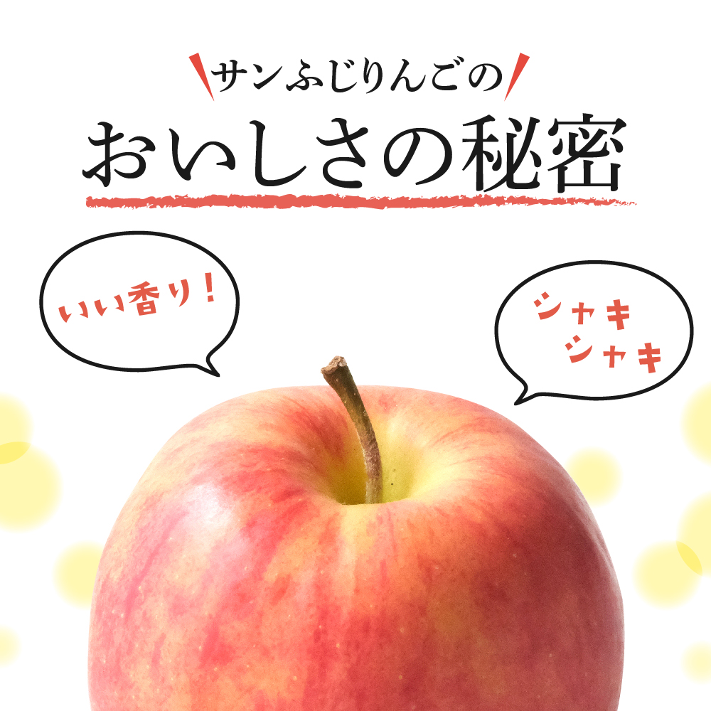 【2026年3月前半発送】 りんご 約5kg ≪丸福≫ サンふじ 【光センサー選果 糖度13度以上】 青森県産