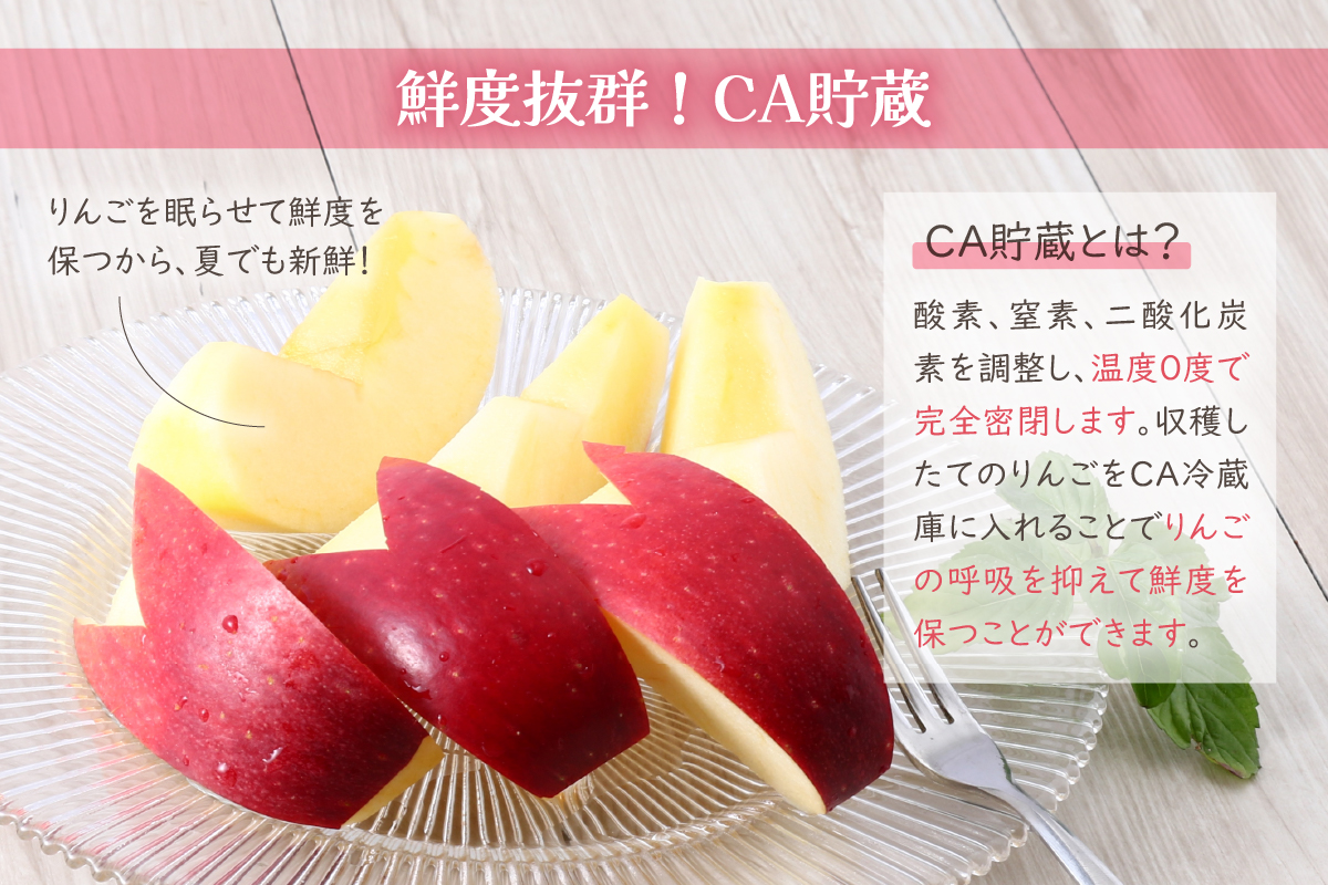 【2026年7月上旬発送】【訳あり】りんご 約5kg 青森産 【おまかせ1品種】【スマートフレッシュ貯蔵またはCA貯蔵・クール便】