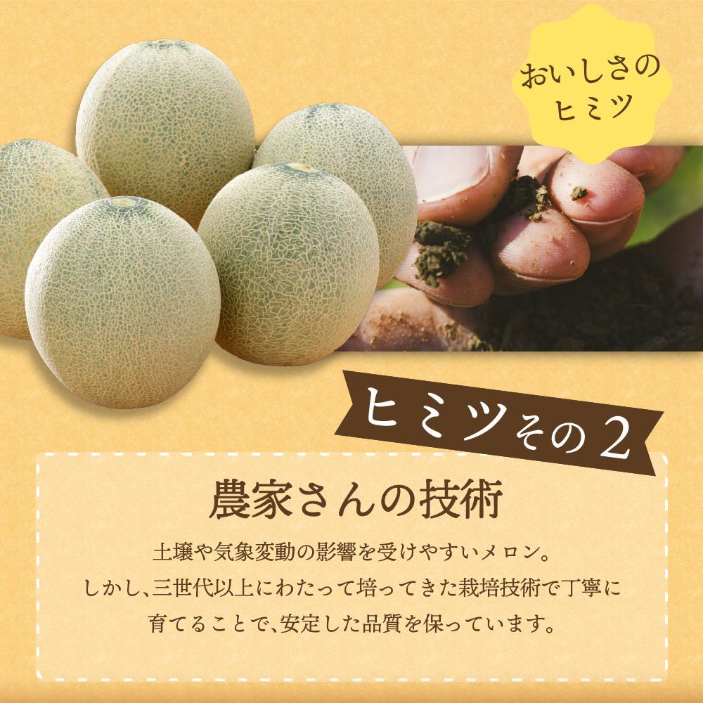 ã2026幎8æååçºéãæŽ¥è»œã®ã¡ãã³ çŽ8kg (èµ€èã»éèã»ãã) 4ïœ6çã»ç§ïœåª 鿣®ç£