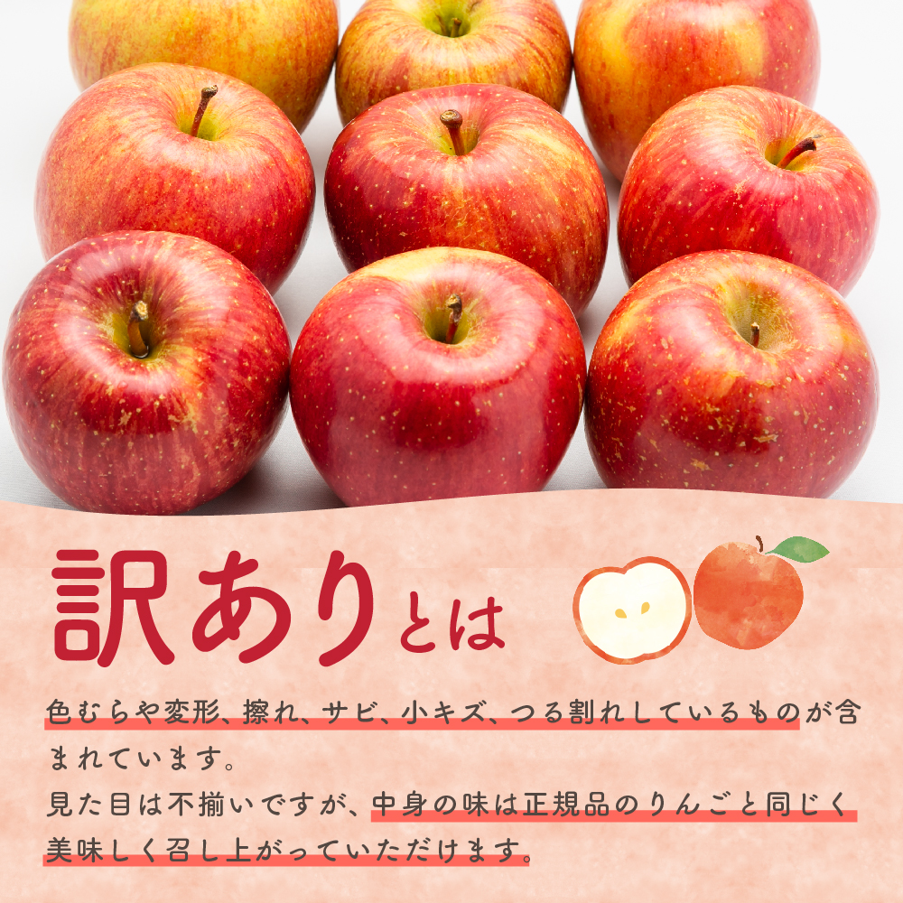 【2026年5月下旬発送】【訳あり】りんご15kg有袋ふじ【スマートフレッシュTM貯蔵またはCA貯蔵・クール便】