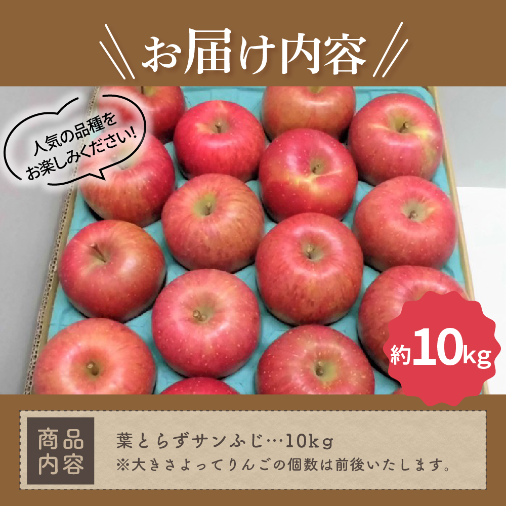 【2027年3月下旬発送】 りんご 10kg 葉とらず サンふじ 青森
