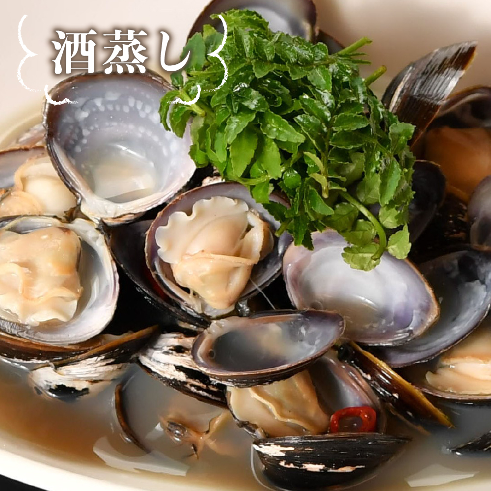 津軽十三湖産 大粒しじみ 1.6kg （冷凍・砂抜き済）青森県 五所川原市