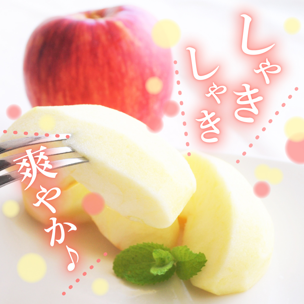 【2026年2月中旬発送】 【訳あり】 旬の美味しい りんご 約10kg 青森産 【おまかせ2品種】