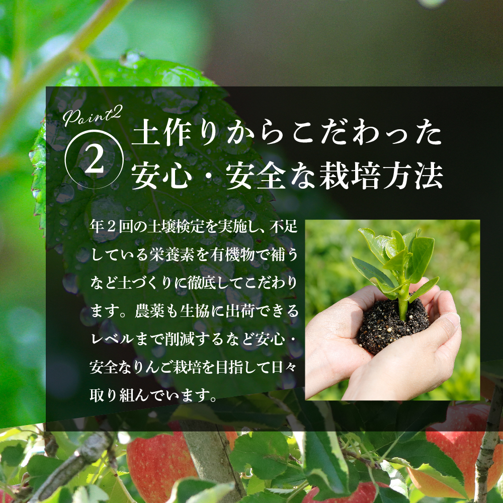 縲2027蟷エ1譛井クュ譌ャ逋コ騾√代占ィウ縺ゅj縲代j繧薙# 髱呈」ョ逕」 邏5kg 繧オ繝ウ縺オ縺