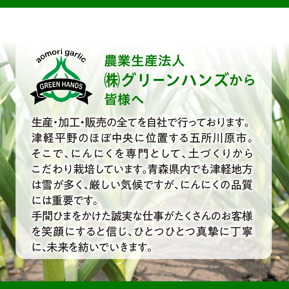 黒にんにくペースト 150g × 2個 熟成 黒ニンニク ホワイト6片 青森県産 にんにく ペースト 【  300g 青森県 五所川原市 大蒜 ニンニク 黒 自社栽培 】