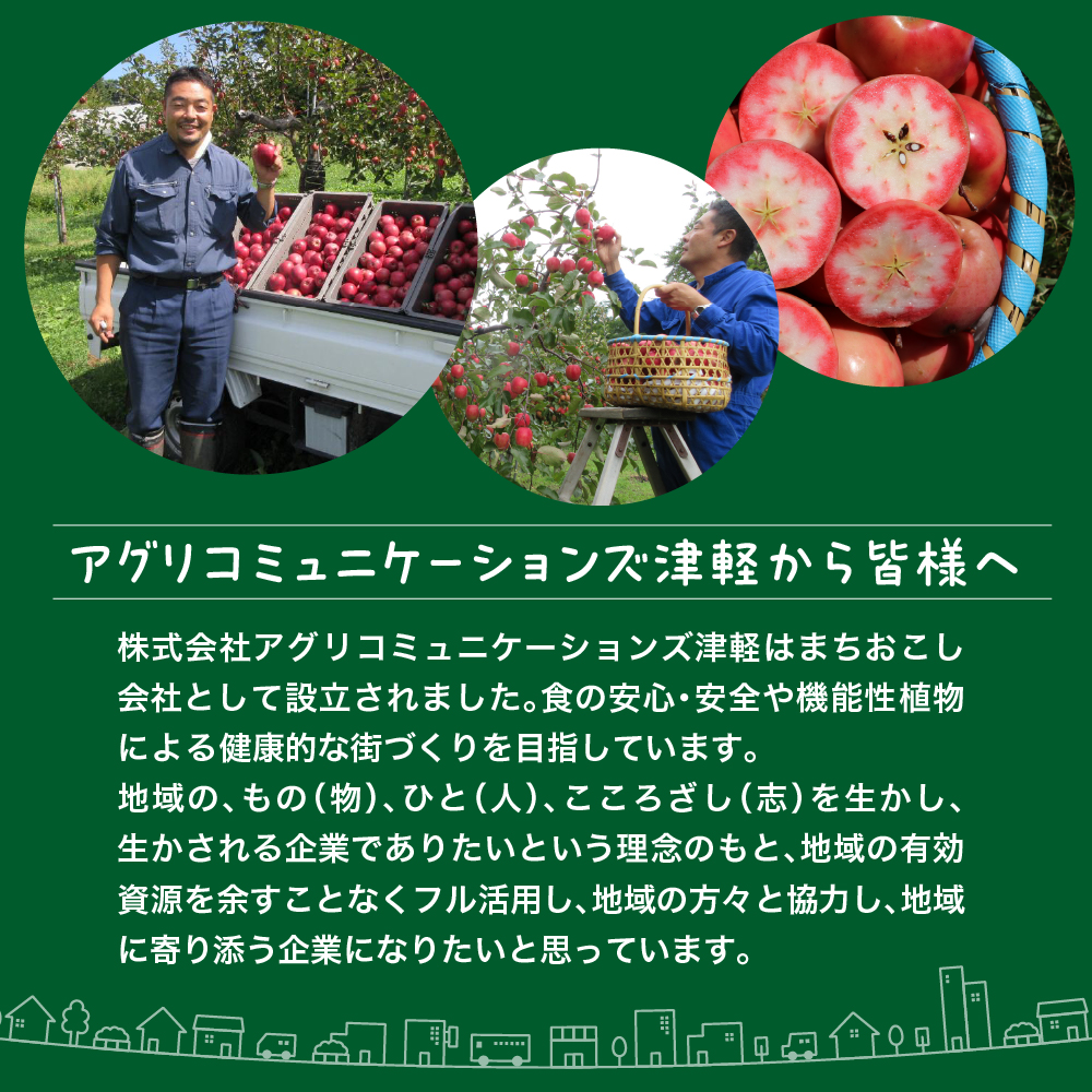 乾燥りんご <Akarin5 グラノーラ > 64g×1袋 ドライフルーツ 青森県 五所川原市