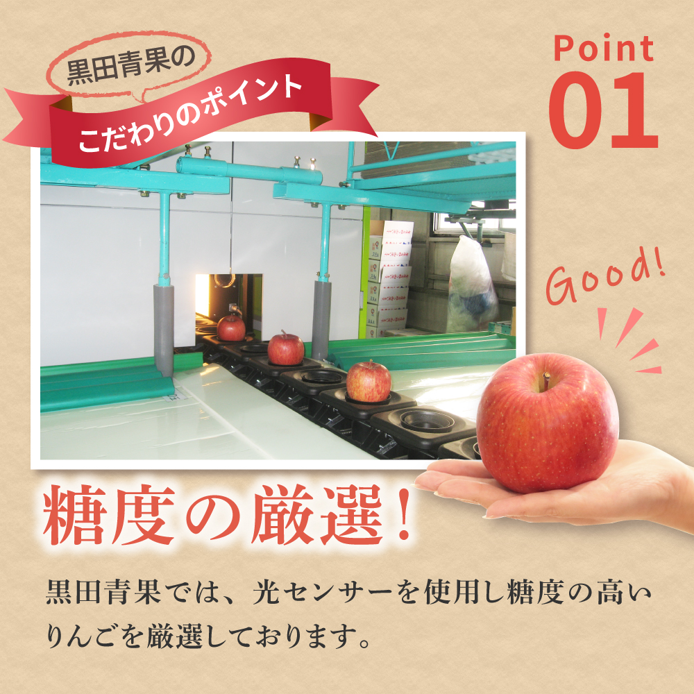 【2026年3月前半発送】 りんご 約3kg ≪丸福≫ サンふじ 【光センサー選果 糖度13度以上】 青森県産