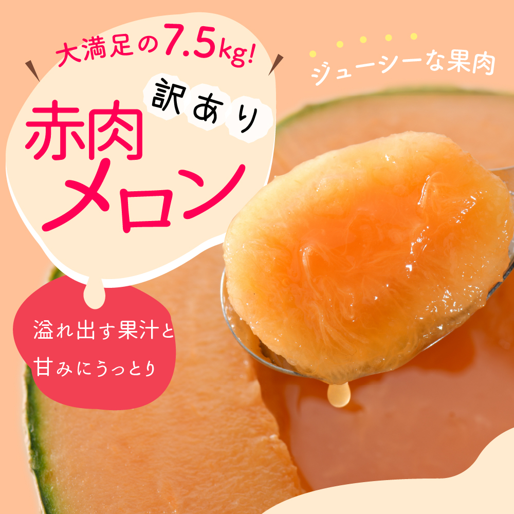 【2026年8月後半発送】【訳あり】 メロン 赤肉 7.5kg程度 (4～8玉) 青森県産