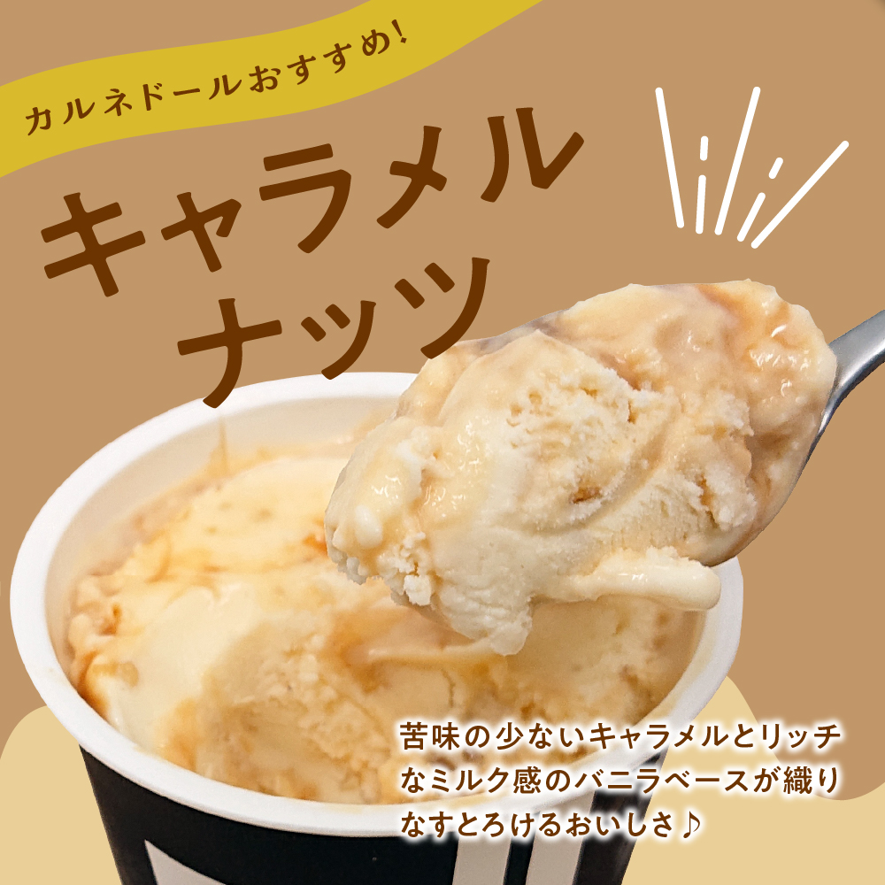 蝨ー蜈辟シ縺崎藷蟄仙コ苓ェ諷「縺ョ繧「繧、繧ケシ10蛟九そ繝繝茨シ7遞ョシ(繝舌ル繝ゥ/謚ケ闌カ/繧ュ繝」繝ゥ繝。繝ォ/繝溘Ν繧ッ繝繧」繝シ/縺縺。縺/蟆丞/繝輔Λ繝ウ繝懊Ρ繝シ繧コ)縲 縺願藷蟄 繧ケ繧、繝シ繝 繧「繧、繧ケ 繧「繧、繧ケ繧ッ繝ェ繝シ繝 繝ゥ繧ッ繝医い繧、繧ケ 隧ー繧∝粋繧上○ 繧「繧、繧ケ繧ッ繝ェ繝シ繝縺ィ繝ゥ繧ッ繝医い繧、繧ケ縺ョ繧サ繝繝 縲