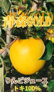 青森りんご トキ ジュース 1L×6本 100% ストレート 【青森GOLD】 フルーツジュース りんごジュース ストレート果汁100％ 青森県五所川原市