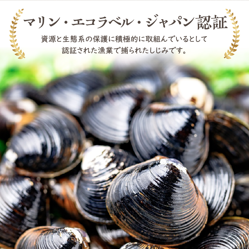 十三湖産 大和しじみ （中貝） 4kg （冷凍・砂抜き済） ヤマトシジミ 青森県 五所川原市
