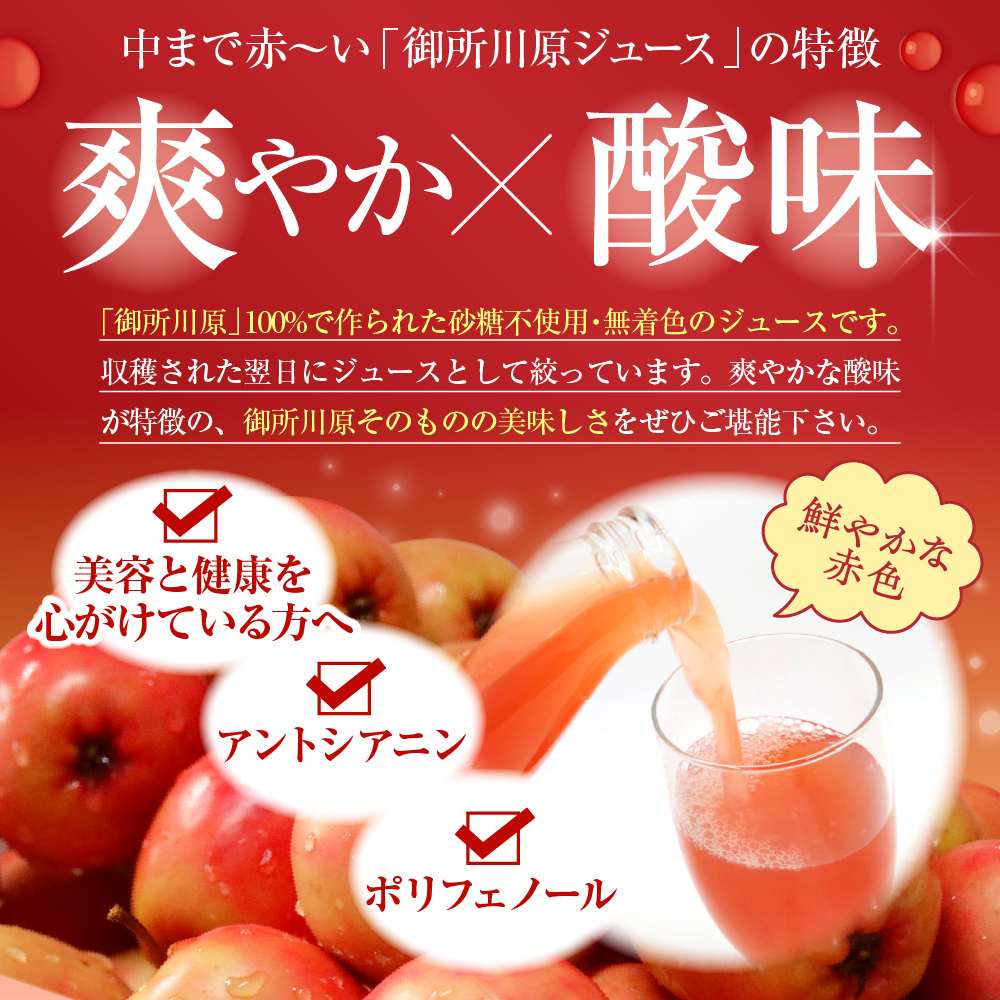 りんごジュース 中まで赤〜いりんごジュース 1L×2本 瓶 五所川原市 青森県