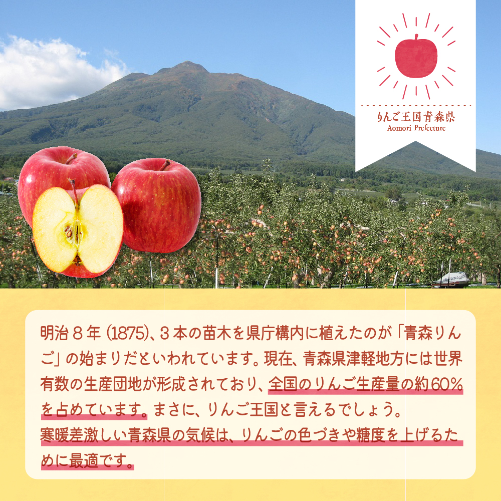 鿣®ããããžã¥ãŒã¹ ã¹ãã¬ãŒã100ïŒ
ææ± 2ç®± (ïŒç®±30æ¬å
¥) ãã¡ãã·ã猶ãç«äœæŠå€ã猶ããããžã¥ãŒã¹ 鿣®ç äºæå·ååž