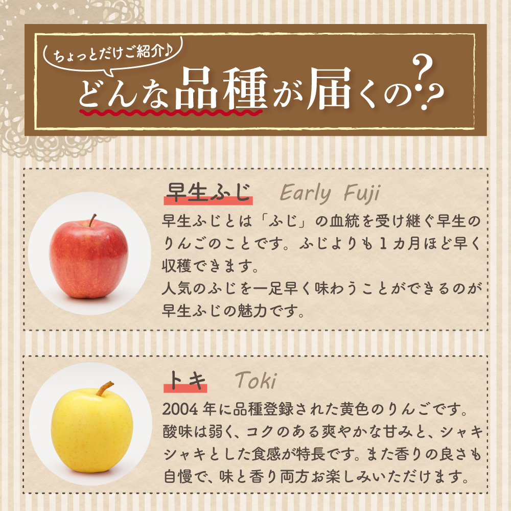 【2026年1月下旬発送】 【訳あり】 旬の美味しい りんご 約10kg 青森産 【おまかせ2品種】