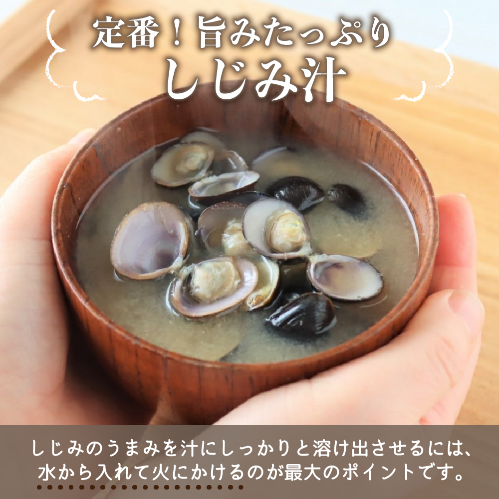 津軽十三湖産 大粒しじみ 1.6kg （冷凍・砂抜き済）青森県 五所川原市