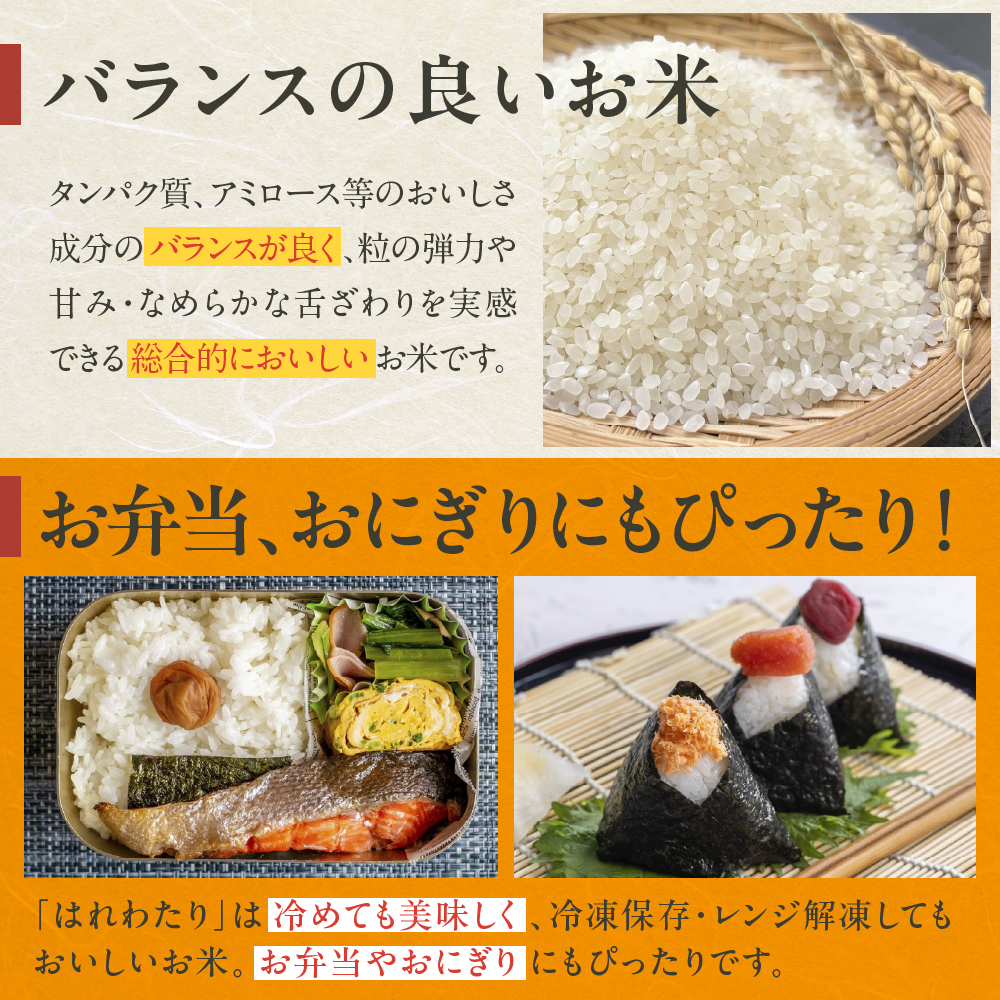 【2026年3月前半発送】米 5kg はれわたり (白米) 【精米 JA 農協 お米 コメ ご飯 5キロ】青森県 五所川原市