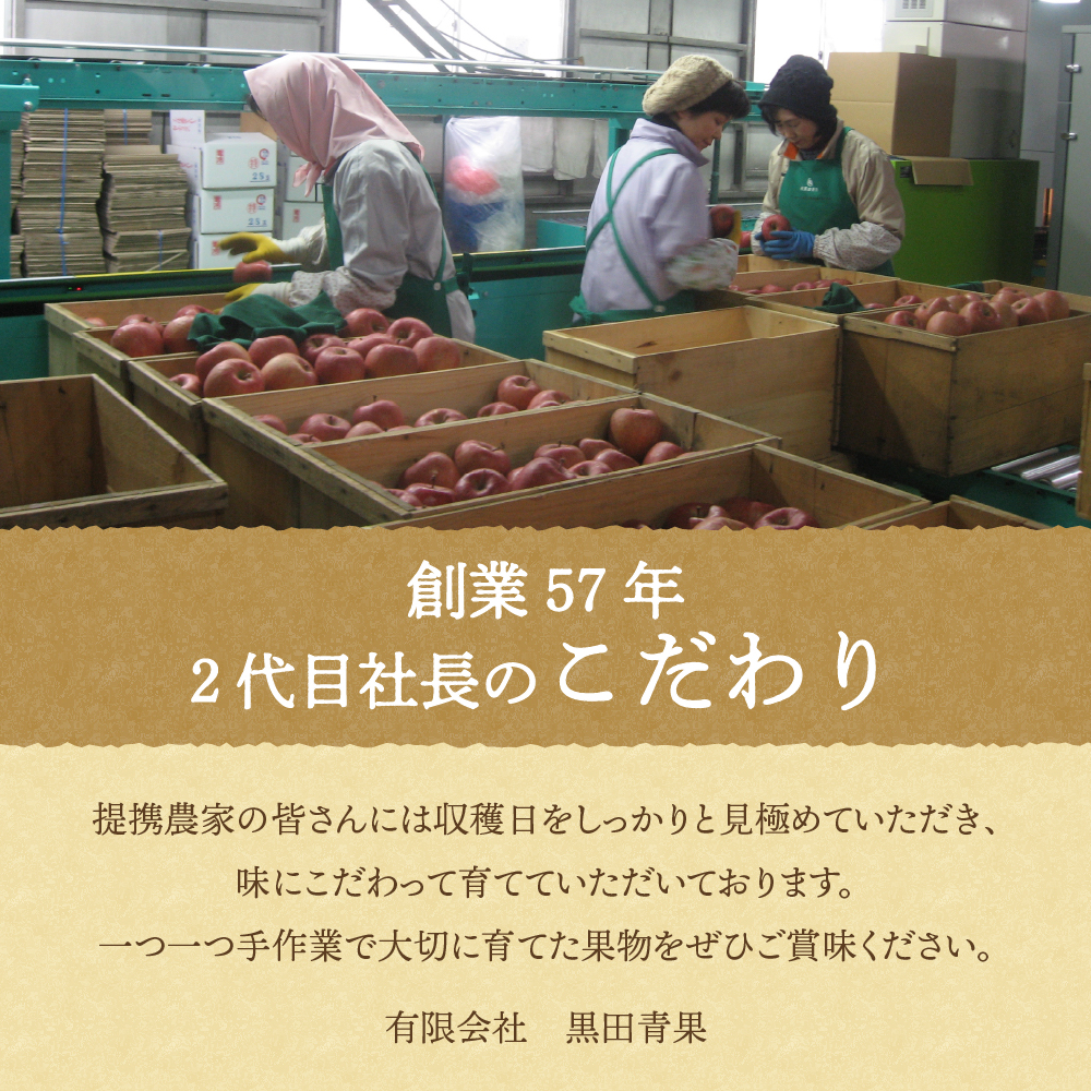 【2026年8月前半発送】最高等級秀品 メロン 東日流グリーン 緑肉 大玉2玉 青森産